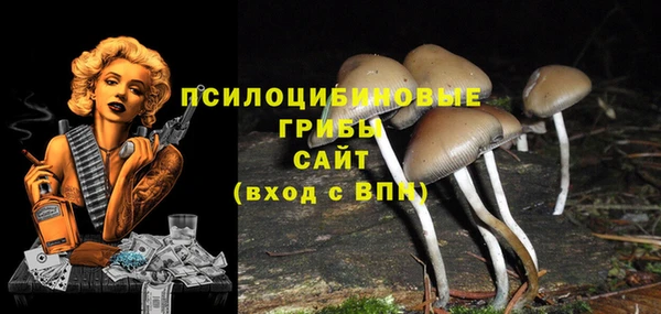 ALPHA PVP Армянск