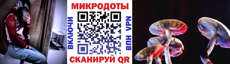 купить наркотики сайты  Белокуриха  Псилоцибиновые грибы Psilocybe 
